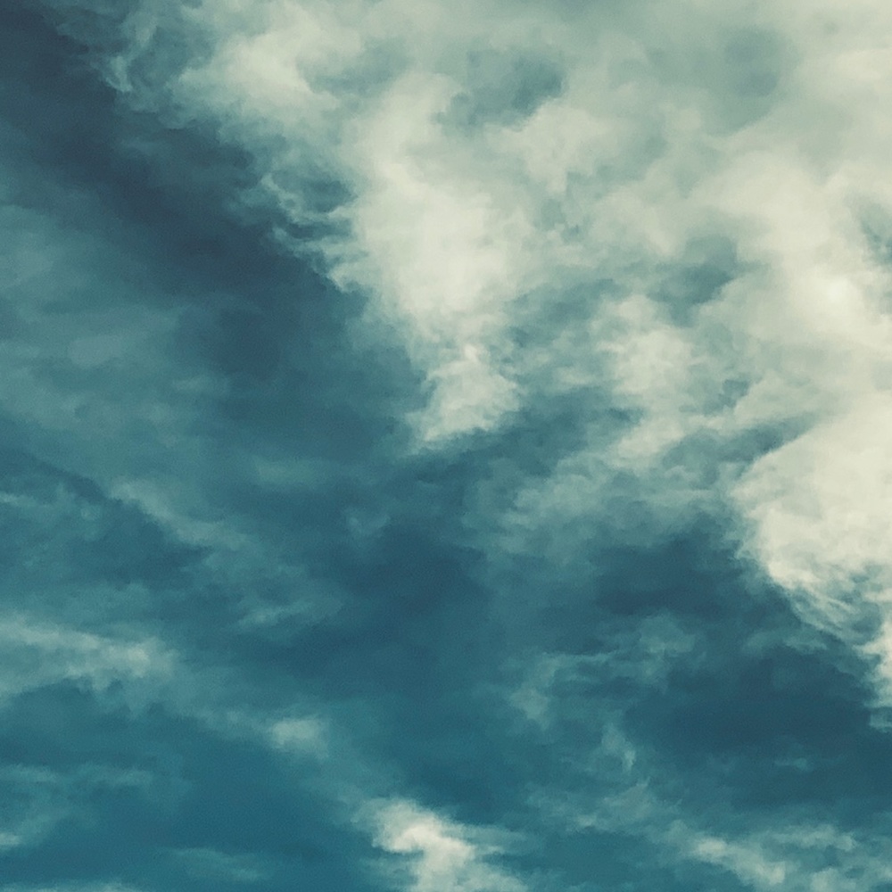 Meet your Posher, Addison